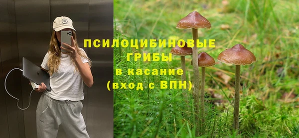 твердый Корсаков